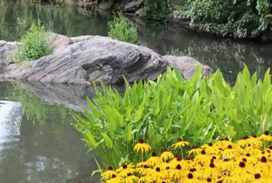 Hashim Shala me Vlla te Vet - Kanga Abaz Aga