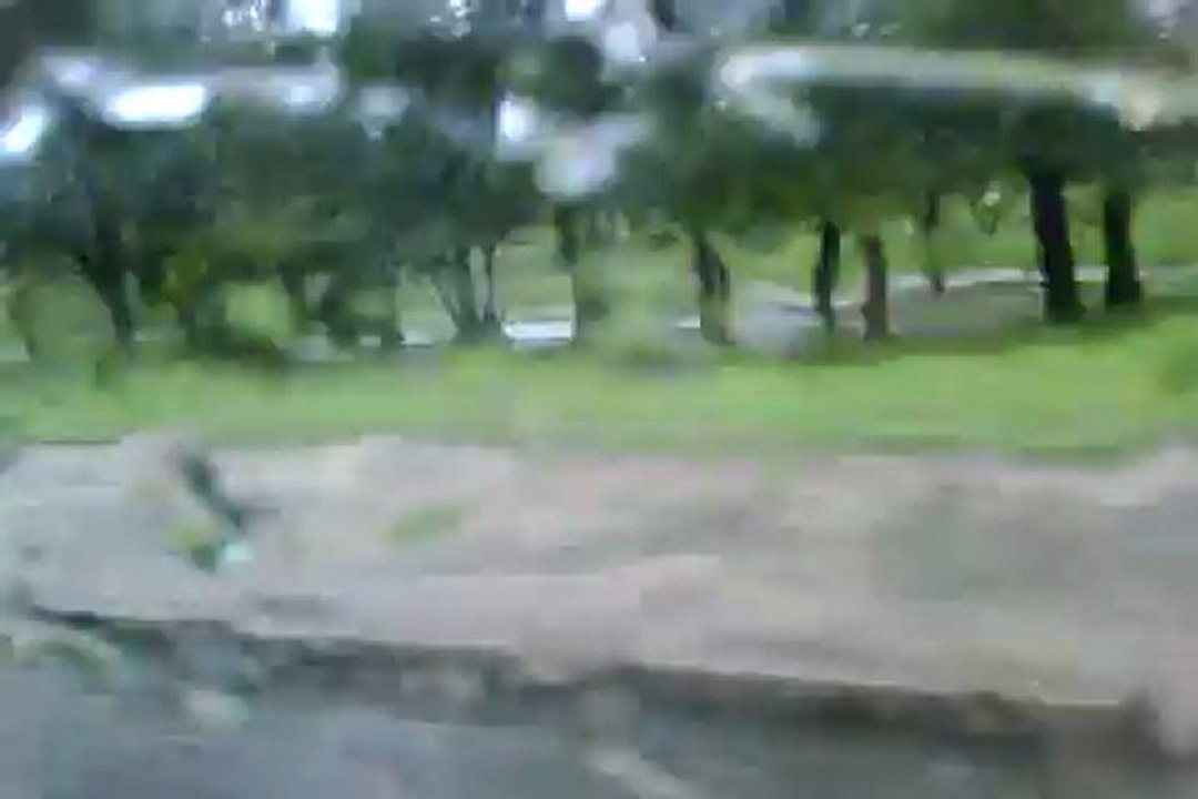 TEMPORAL 19-09-12