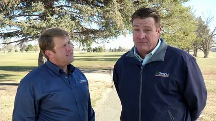 March Tips:  Ips Engraver Tree Beetle, Lawn Aeration Denver, Sprinkler Turn On