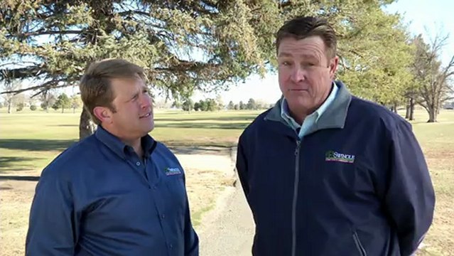 March Tips: Ips Engraver Tree Beetle, Lawn Aeration Denver, Sprinkler Turn On