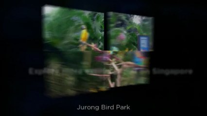 Things to do in Singapore | Singapore Tourist Information | TripHobo.Com