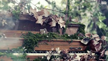 [EN+RM+KR] 2AM - One spring day MV