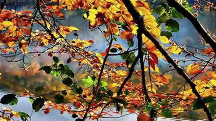 GÜLER DUMAN-BAĞIŞLA SEVDİĞİM