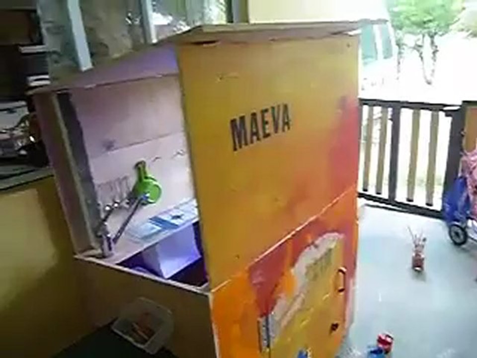 MAEVA PEINT SA CABANE