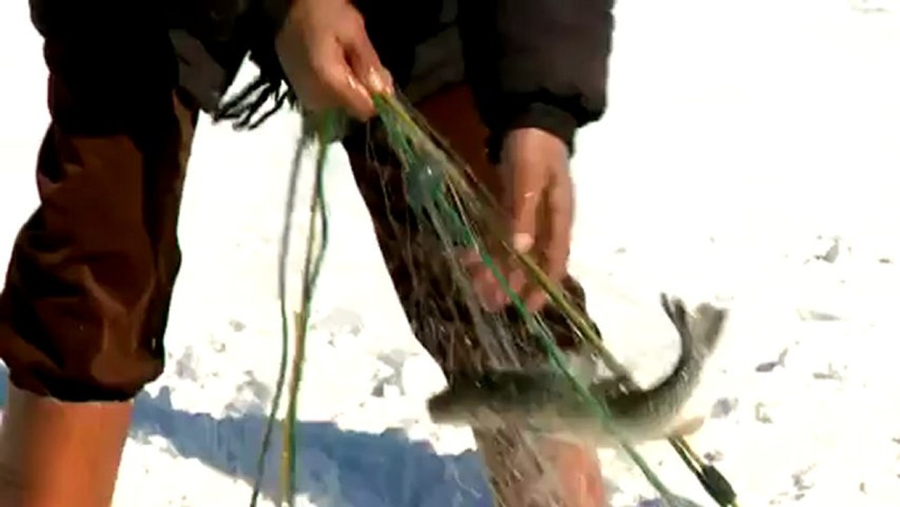 Ardahan Çıldır Gölü 2013 @ MEHMET ALİ ARSLAN ARDAHAN