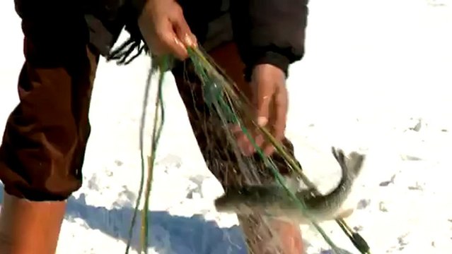 Ardahan Çıldır Gölü 2013 @ MEHMET ALİ ARSLAN ARDAHAN