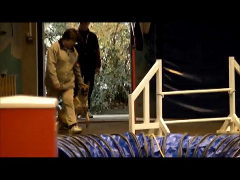 Arlette & Faraun Capitole 25 novembre 2012