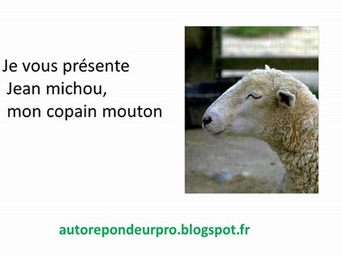 AWEBER repondeur automatique pas très pratique !