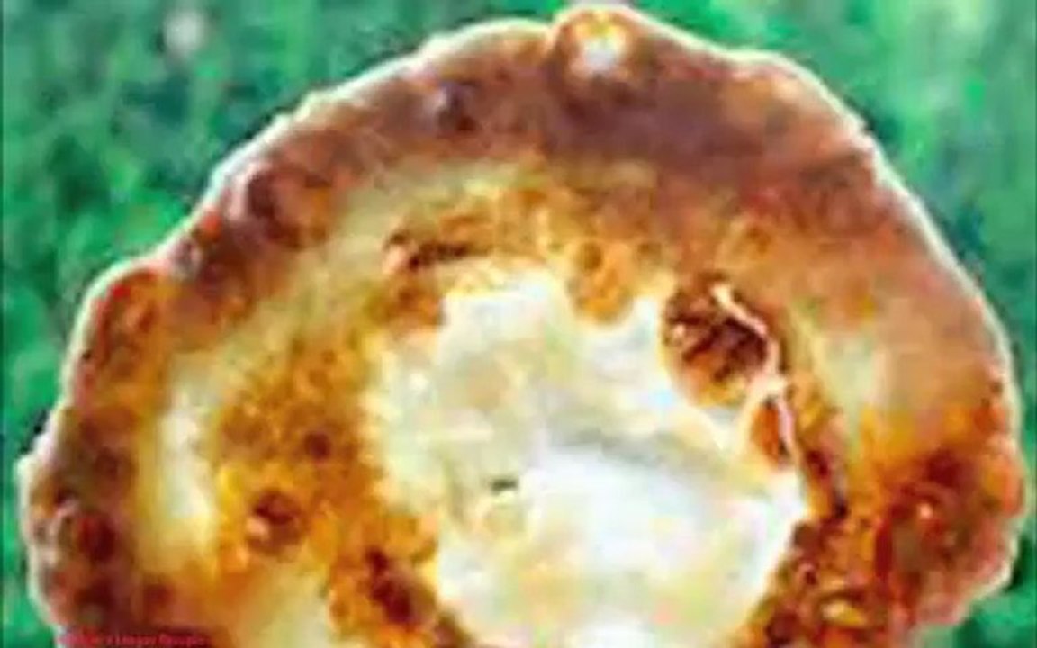16 Christian Lángos auch in Bulgarien Österreich Rumänien Serbien Tschechien und der Slowakei Christian Langos Rezept