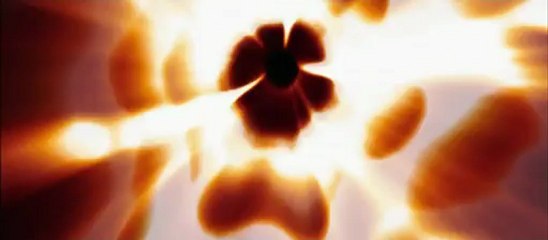 Stephenie Meyer, a la búsqueda de un público adulto