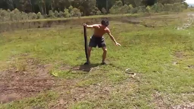 Capturer un lapin avec un serpent