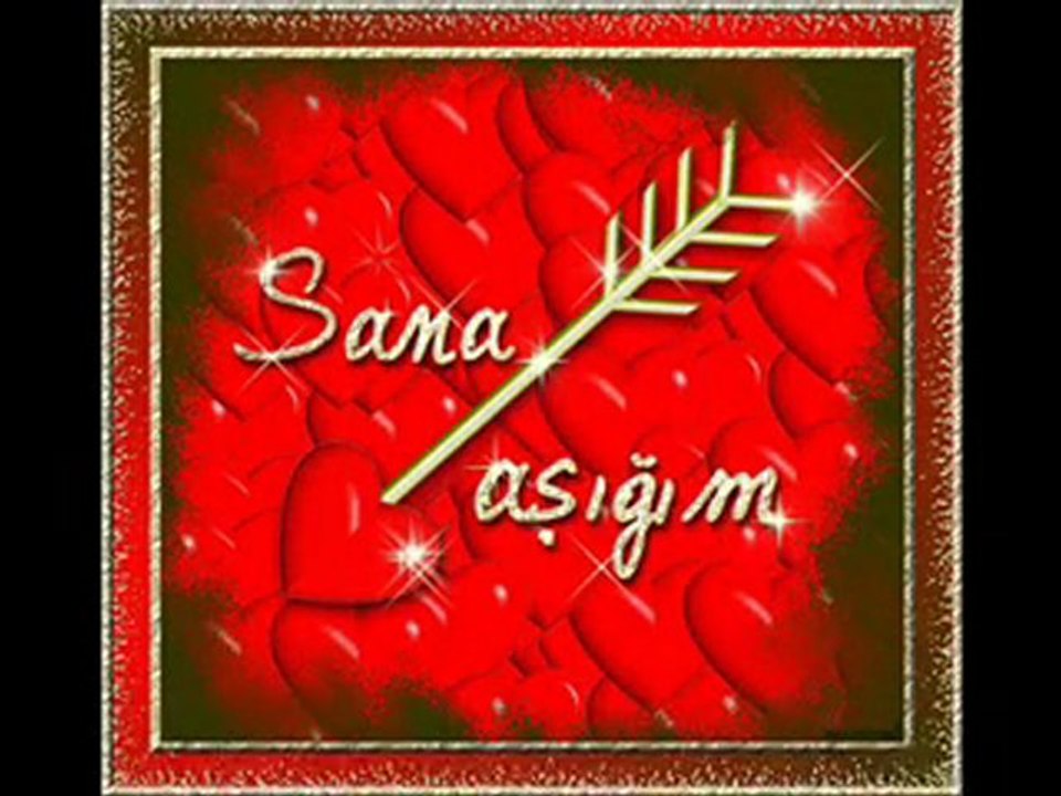 Ayhan Polatkan Gitme