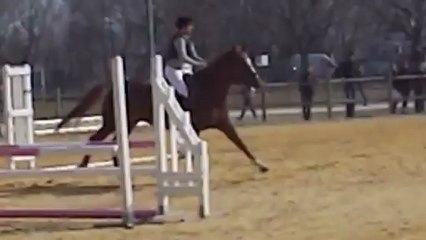 Adèles et Java 2eme Club 2 CSO Aramon