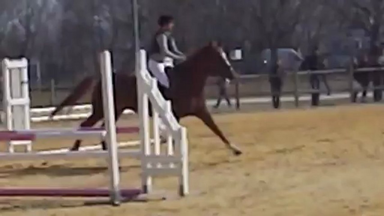 Adèles et Java 2eme Club 2 CSO Aramon