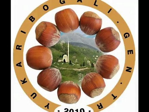 Yukarı Boğalı Köy'nde Kar Yağışı