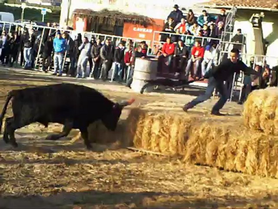 course au plan a aiguesvives manade labourayre 02 03 2013