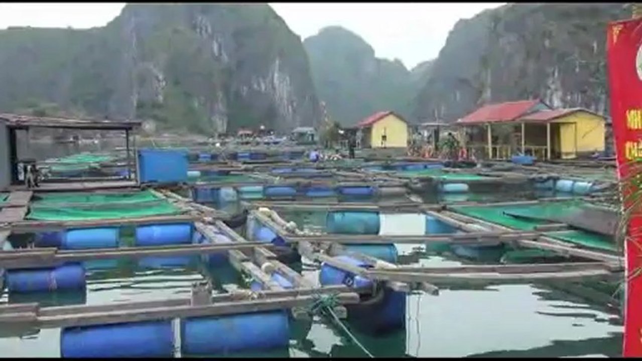 Lan Ha bay cruise www.junkcatba.com