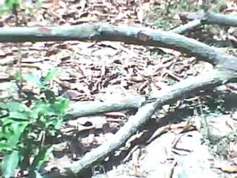 wAtCh EsPn MANCHESTER UNITED VS REAL MADRID LiVe SOCCER Streaming Sopcast Online Coverage Feed Free HD TV