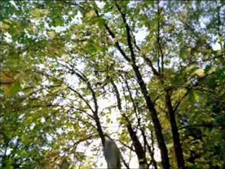 Kyocera-Cell Phone Karma Commercial