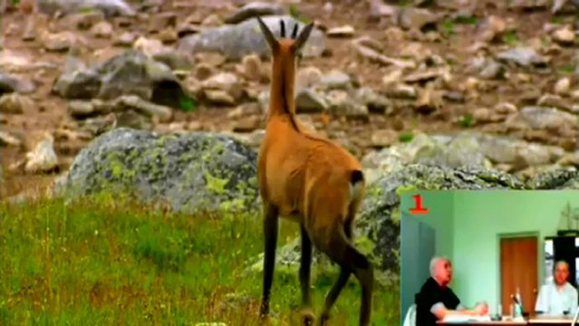 Сенсации -2013-02- Летопись создания КОБ