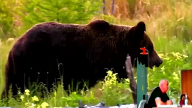 Сенсации -2013- Матрица развития России