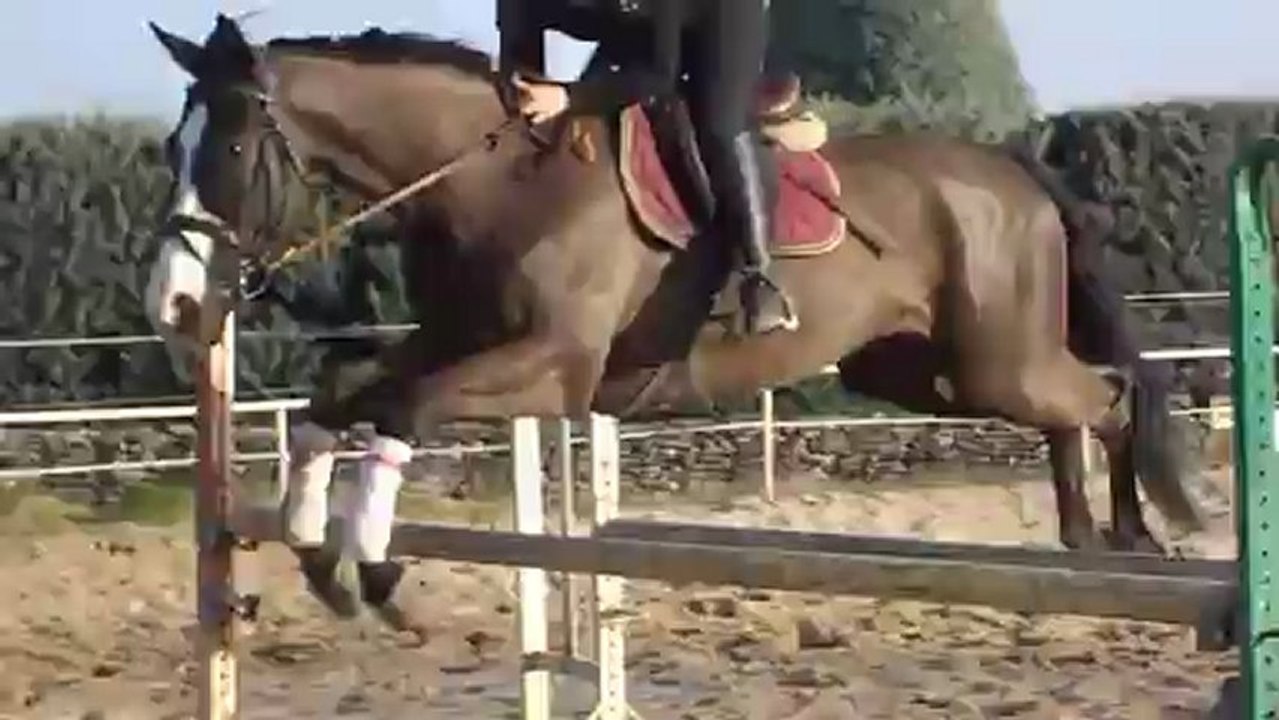 Gymnastique d'après Concours Duck