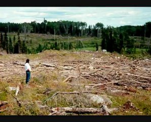 Elecciones Perú 2011