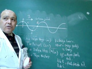 DALGALAR VE ÖZELLİKLERİ