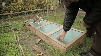 x JPB-5 : Semis d'hiver sous chassis