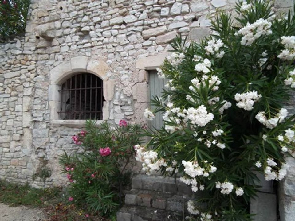 MARSANNE