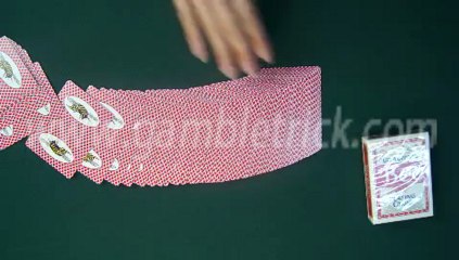 MARKED-PLAYING-CARDS-Bee(With Picture)1-gambletrick