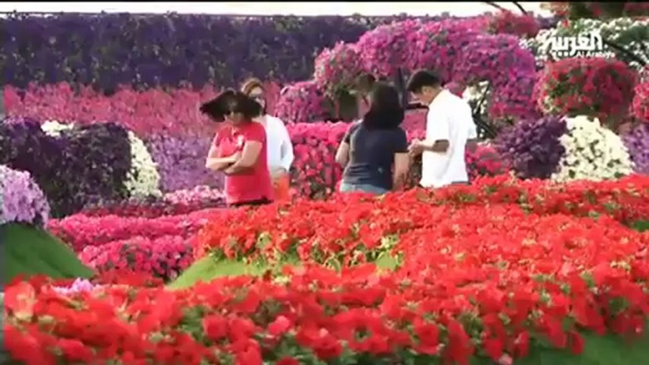 الحديقة المعجزة  في دبي.. أكبر حديقة زهور بالعالم