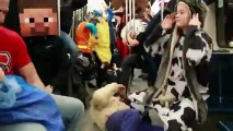 Do The Harlem Shake Montreal Subway - 2013 - Nouveauté