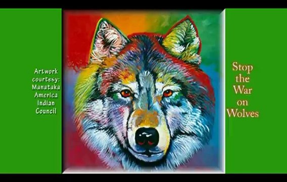 Keep Michigan Wolves Protected: Northern Michigan University Students Fight Proposed Wolf Hunt