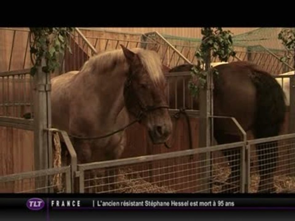 La viande de cheval : regain d'intérêt (Toulouse)