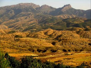 MUSTAFA TERECİ UYAN ÇOBAN UYAN