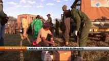 Kenya : Le GPS au secours des éléphants