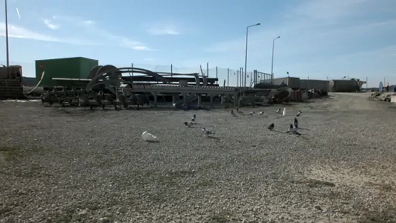 dumnalı er