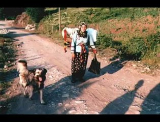 Ali özel--yayladan gel kömür gözlüm yayladan
