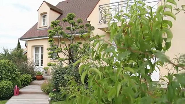 La taille en vert des arbres fruitiers