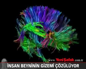 İnsan beyninin gizemi çözülüyor