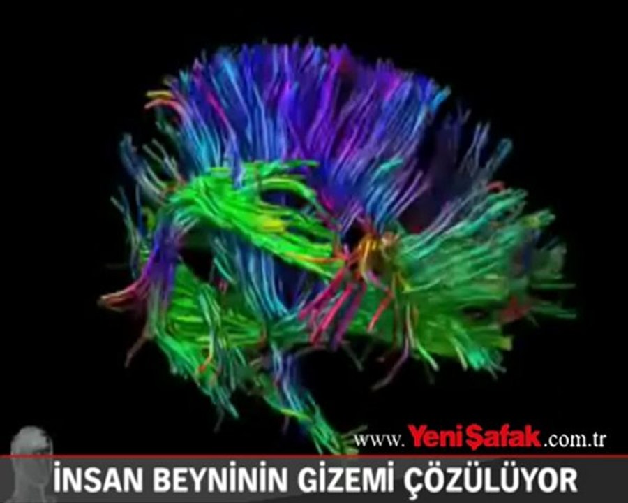 İnsan beyninin gizemi çözülüyor