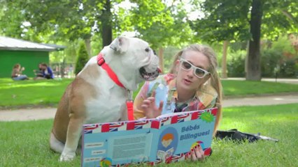 Le bon profil - Présentation officielle