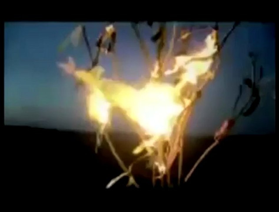 Ceylan dön maralım - WWW.SESLİZEUS.COM|SeSLiSoHBeT