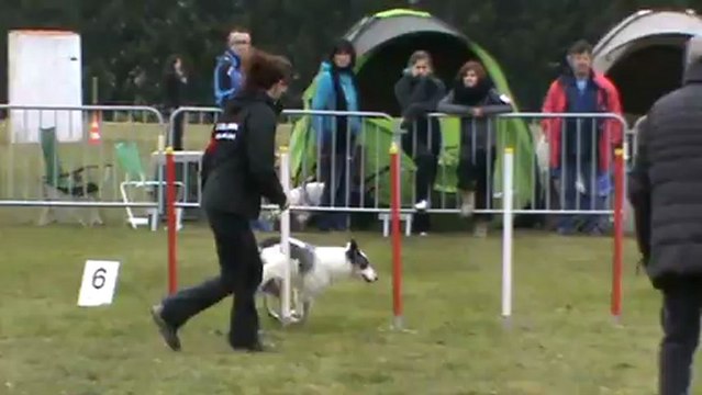 Les Sorinières 02.03.13 GPF Choy