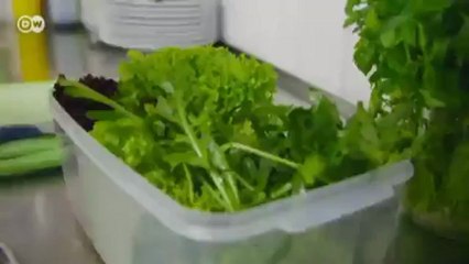 وجبة شهية من بلغاريا | يوروماكس