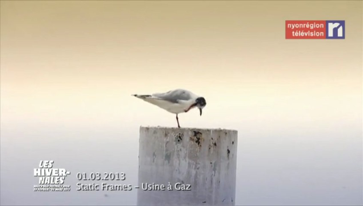 La caméra en balade - Static Frames - Les Hivernales 2013 - Usine à Gaz