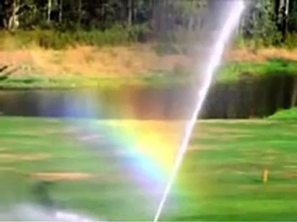 Sprinkler Services and Outdoor Design