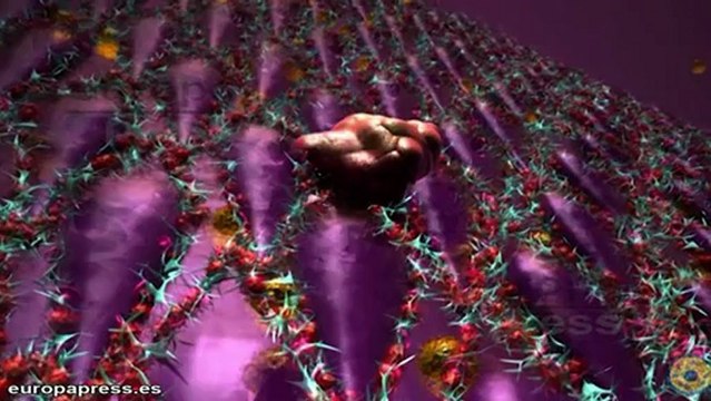 El programa Mind the gap de Fundación Botín impulsa nuevos proyectos tecnológicos