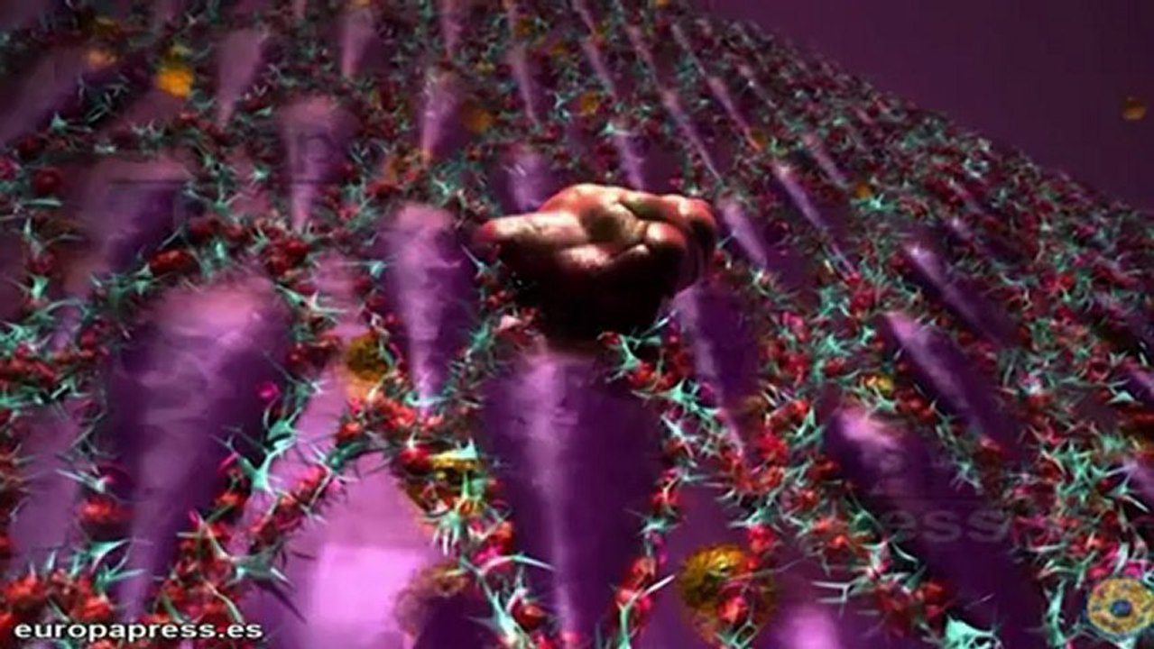 El programa Mind the gap de Fundación Botín impulsa nuevos proyectos tecnológicos